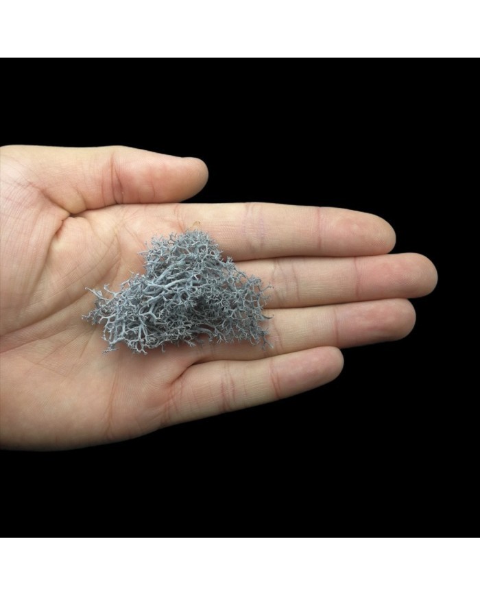 Kurutulmuş Yosun - Gri- 5 gr