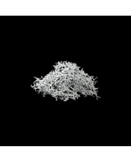 Kurutulmuş Yosun - Gri- 5 gr