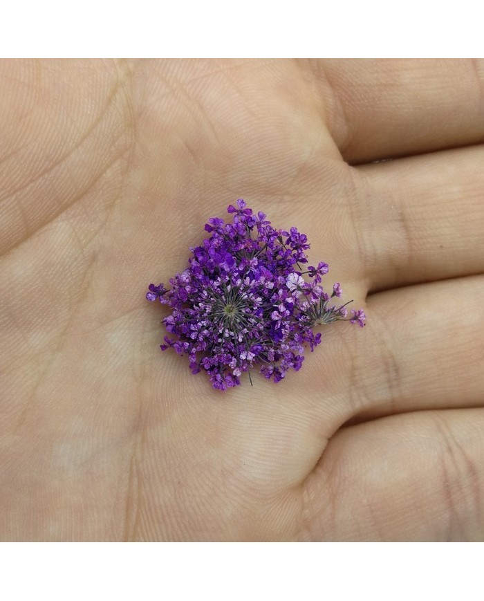 Sultan Otu - Kurutulmuş Çiçek - Mor - 10 adet