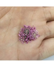 Sultan Otu - Kurutulmuş Çiçek - Açık Mor - 10 adet