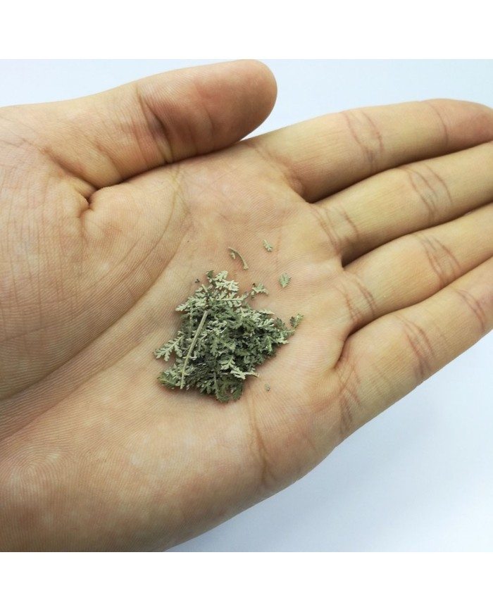 Kurutulmuş Aşk Merdiveni Mini demet 5 Adet