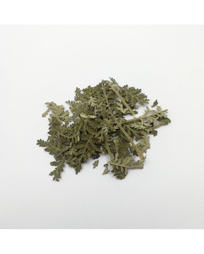 Kurutulmuş Aşk Merdiveni Mini demet 5 Adet