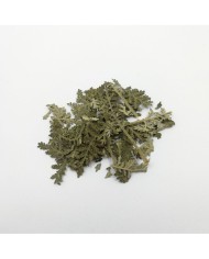 Kurutulmuş Aşk Merdiveni Mini demet 5 Adet