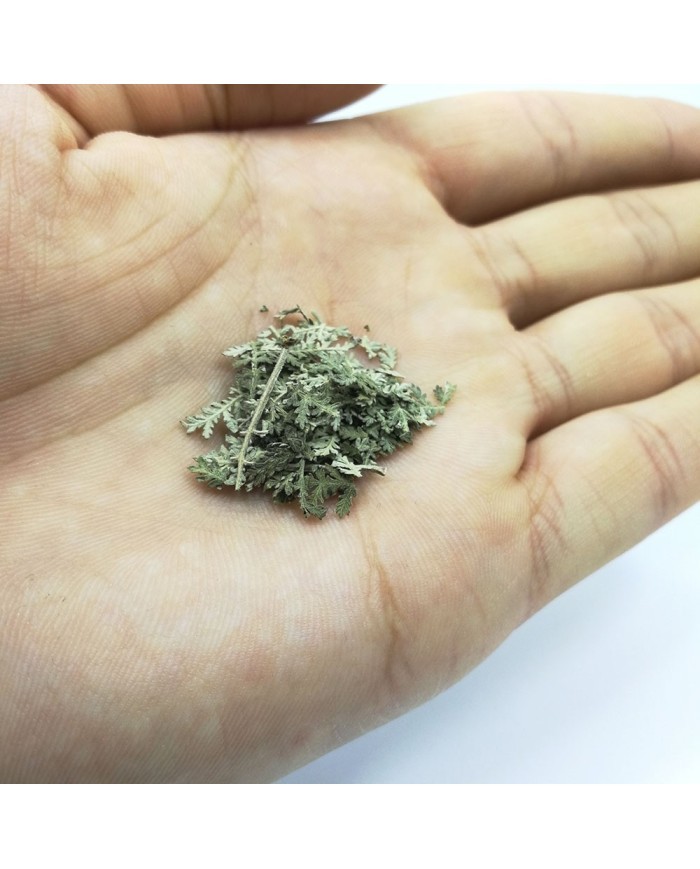 Kurutulmuş Aşk Merdiveni Mini demet 5 Adet