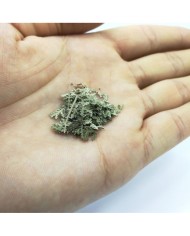 Kurutulmuş Aşk Merdiveni Mini demet 5 Adet