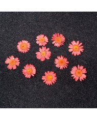 Kurutulmuş Papatya - Açık Kırmızı 10 Adet