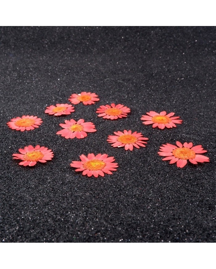 Kurutulmuş Papatya - Açık Kırmızı 10 Adet