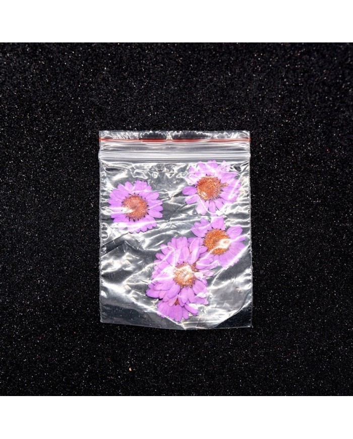 Kurutulmuş Papatya - Pembe 10 Adet