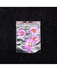 Kurutulmuş Papatya - Pembe 10 Adet