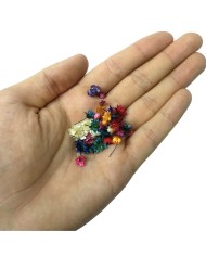 Mini Kurutulmuş Çiçekler - Mix