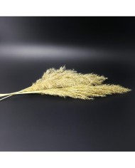 Kurutulmuş Çiçek - Ot