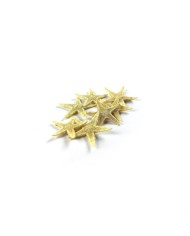 Doğal Deniz Yıldızı - Küçük Boy