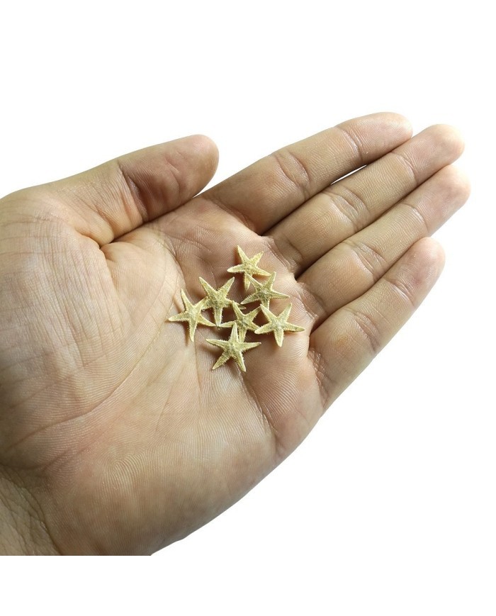 Doğal Deniz Yıldızı - Küçük Boy