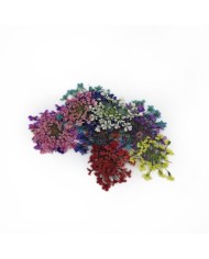 Sultan Otu - Kurutulmuş Çiçek Karışık Renkler - 15 adet