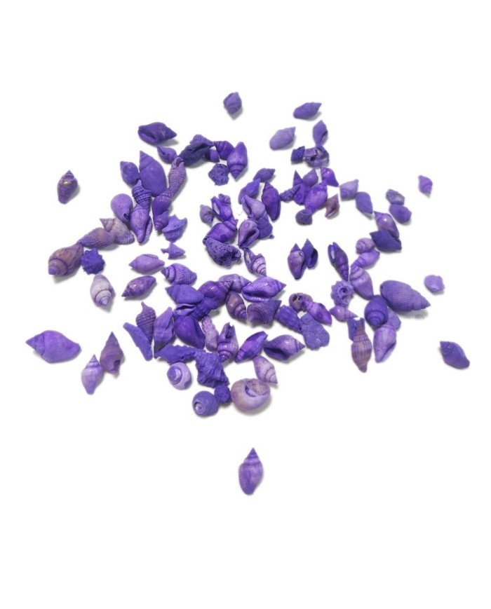 Deniz Kabuğu - Mor 25 gr