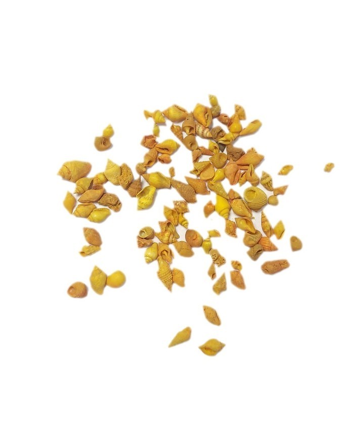 Deniz Kabuğu - Turuncu 25 gr