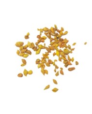 Deniz Kabuğu - Turuncu 25 gr