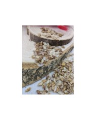 Denız kabuğu - 25 gr