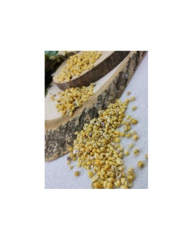 Denız kabuğu - 25 gr