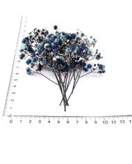 Şoklanmış Pıtırcık Kuru Çiçekler - Mavi Tonları - Mini demet