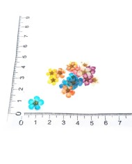 Sakura Mini Kurutulmuş Çiçek - Karışık Renk