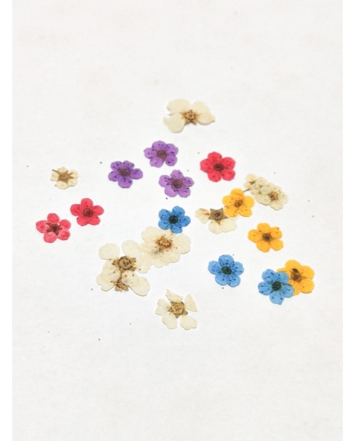 Sakura Mini Kurutulmuş Çiçek - Karışık Renk