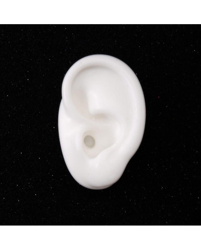 Silikon Kulak Sol Takı ve Bijuteri Küpe Mankeni Renk Seçenekli