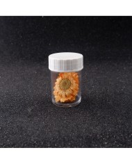 Kurutulmuş Papatya - Oranj 10 Adet