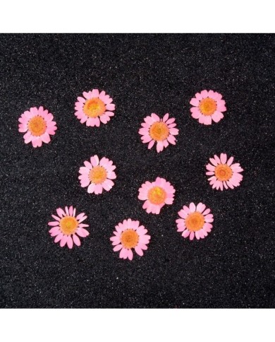 Kurutulmuş Papatya - Pembe 10 Adet
