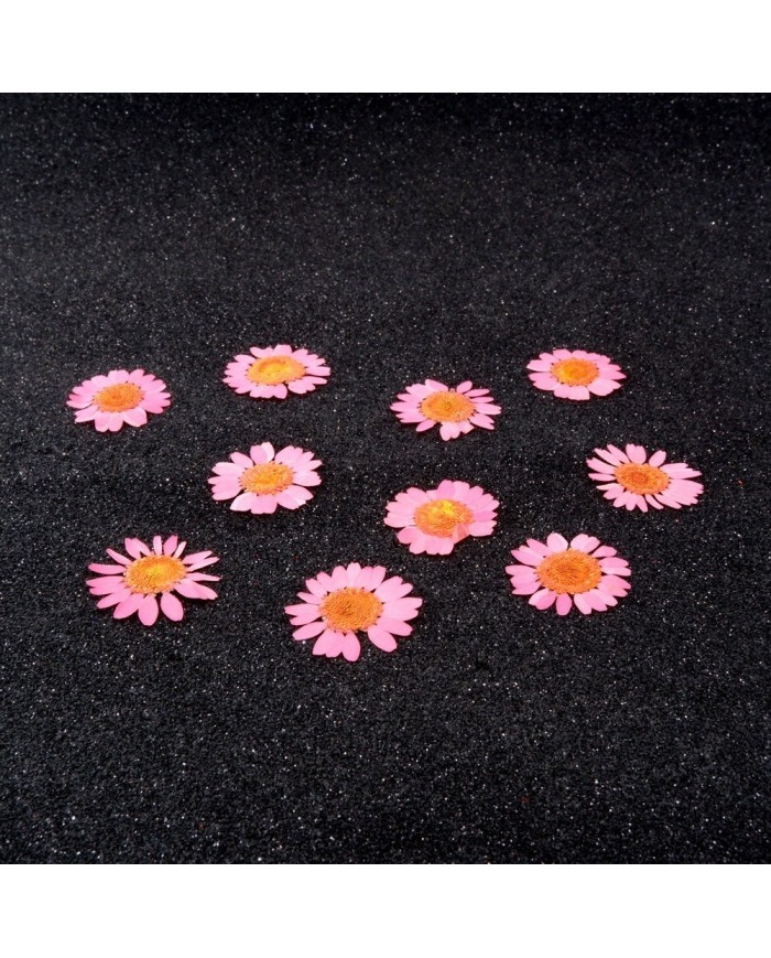 Kurutulmuş Papatya - Pembe 10 Adet