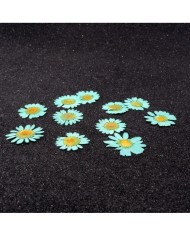 Kurutulmuş Papatya -Turkuaz Mavi 10 Adet