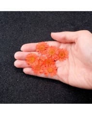 Kurutulmuş Papatya - Turuncu 10 Adet