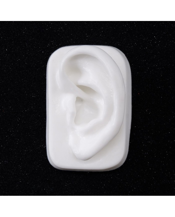 Silikon Kulak Alt Çerçeveli Sol 50 Adet - Takı ve Bijuteri Küpe Mankeni