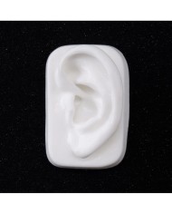 Silikon Kulak Alt Çerçeveli Sol 50 Adet - Takı ve Bijuteri Küpe Mankeni