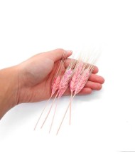 Kurutulmuş Çiçek - Kuru Başak Otu