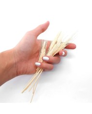 Kurutulmuş Çiçek - Kuru Başak Otu