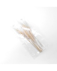 Kurutulmuş Çiçek - Kuru Başak Otu