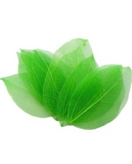 Kumaş Yaprak - Yeşil - 3 Adet