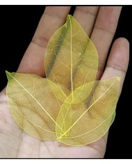 5li Kumaş Yaprak - Sarı