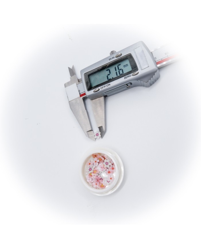 5D Renkli Mini Papatya