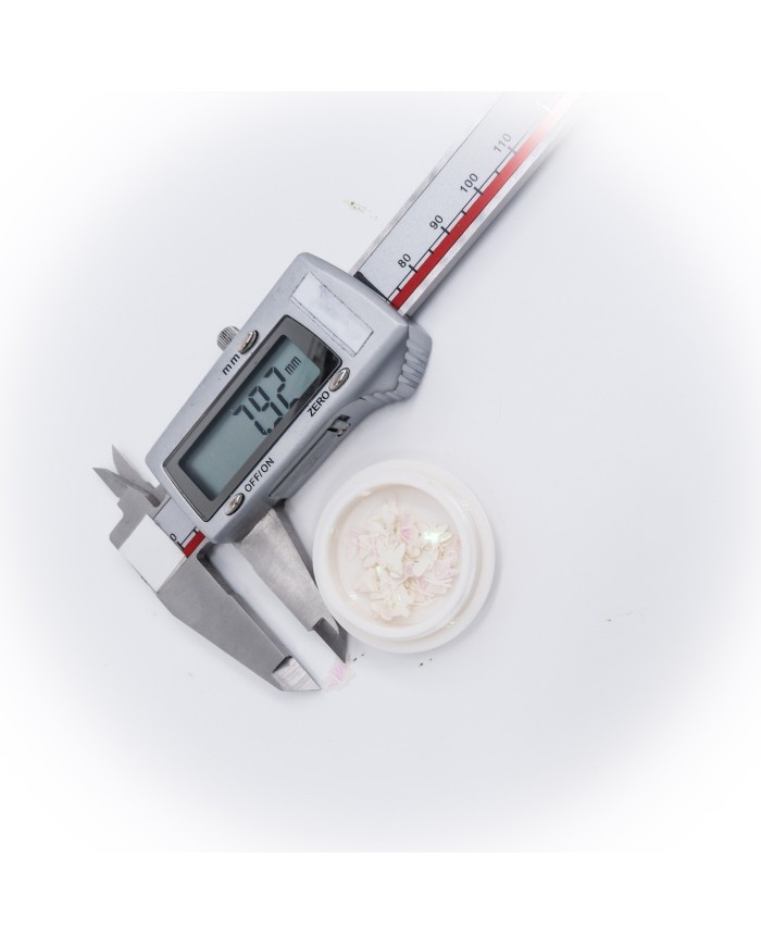 5D Renkli Mini Kelebek Sedef