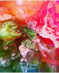 Alkol Bazlı Epoksi Mürekkep Boya 15 cc - Mavi  Ebru Pigment